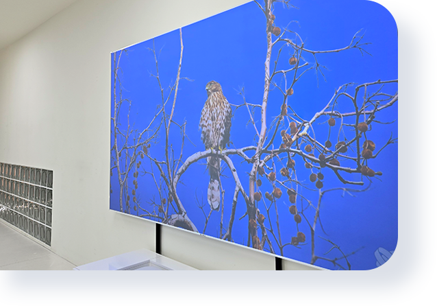 �����̹���