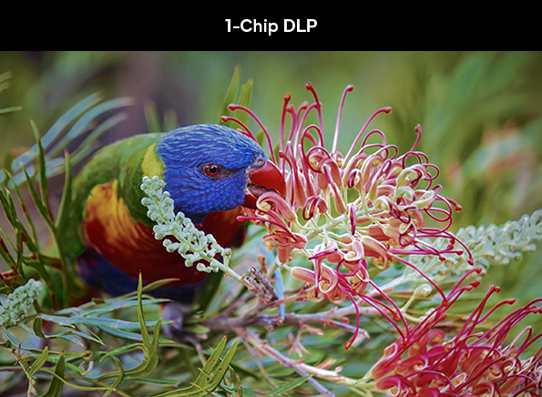 1-chip dlp