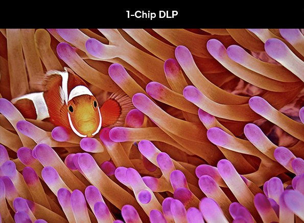 1-chip dlp